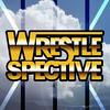 undefined Wrestlespective