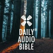 Podcast 1 Year Daily Audio Bible DAILY AUDIO BIBLE