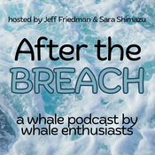 Podcast After the Breach Podcast
