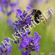 Podcast Alle blomsters kærlige veninde