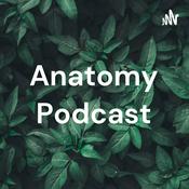Podcast Anatomy Podcast