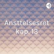 Podcast Ansættelsesret kap. 13