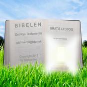 Podcast Bibelen som lydbog (Regulær oplæsning) - Det Nye Testamente på Hverdagsdansk