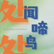 Podcast 处处闻啼鸟