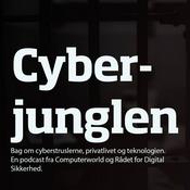 Podcast Cyberjunglen - fokus på it-sikkerhed