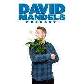 Podcast David Mandels Podcast