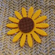 Podcast Diary for Today