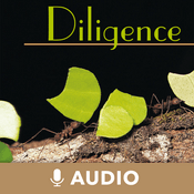 Podcast Diligence (Audio)
