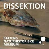 Podcast Dissektion