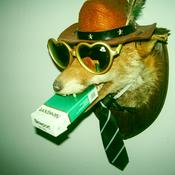 Podcast Dogecore Lore