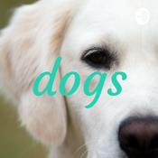 Podcast dogs