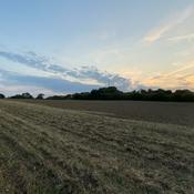 Podcast Don’t Kill My Company