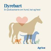 Podcast Dyrebart: Det gode katteliv