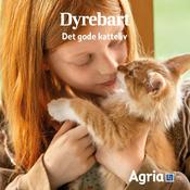 Podcast Dyrebart: Det gode katteliv