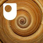 Podcast Exploring mathematics: maths in nature and art - for iPod/iPhone