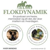Podcast Flokdynamik