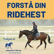 Podcast Forstå din ridehest