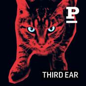 Podcast Forsvundne katte