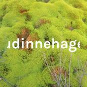 Podcast Gudinnehagen