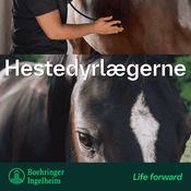 Podcast Hestedyrlægerne