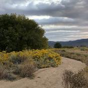 Podcast High Desert Presbyterian Church Sermons