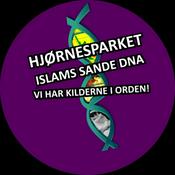 Podcast Hjørnesparket - Islams Sande DNA