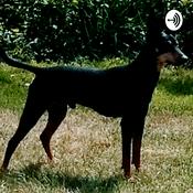 Podcast Hvalpe træning