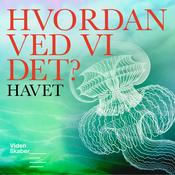 Podcast Hvordan ved vi det?