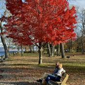 Podcast In The Background