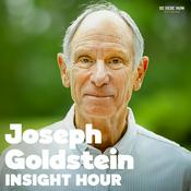 Podcast Insight Hour with Joseph Goldstein