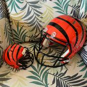 Podcast Jungle Junior