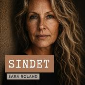 Podcast SINDET
