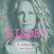 Podcast SINDET