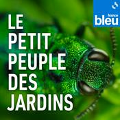 Podcast Le petit peuple des jardins, raconté par Maureen Dor