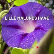 Podcast Lille Malunds have