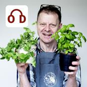 Podcast Mortens Madklub