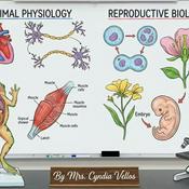 Podcast Mrs. Cyndia's Biology Class