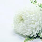 Podcast نحوه تمرین مدیتیشن سکوت به زبان ساده