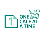Podcast One Calf at a Time