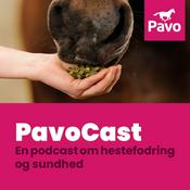 Podcast Pavocast