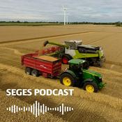 Podcast Plante-podcast fra SEGES Innovation