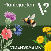 Podcast Plantejagten