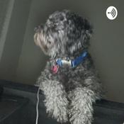 Podcast Podcast project