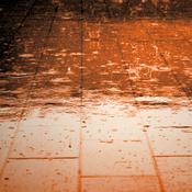Podcast Rain Industry