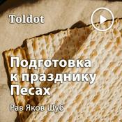 Podcast Рав Яков Шуб  — Подготовка к празднику Песах. Современные реалии