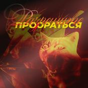 Podcast Разрешите проораться