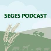 Podcast SEGES Økonomi og virksomhedsledelse