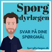 Podcast Spørg Dyrlægens dyrebrevkasse om katte- og hundesygdomme med dyrlæge Søren Drimer Pejstrup