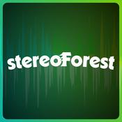 Podcast StereoForest Podcasts