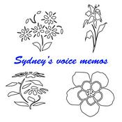 Podcast sydney’s voice memos